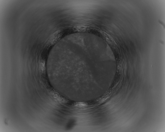 X0000091170610200709060935