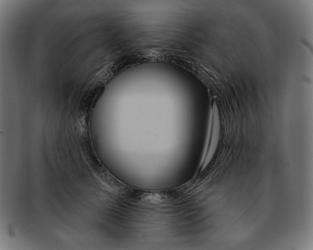 X0000091170611200709060935