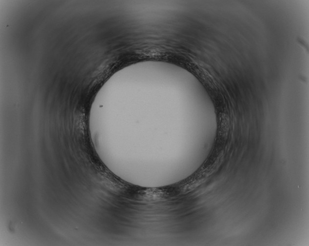 X0000091170612200709060935