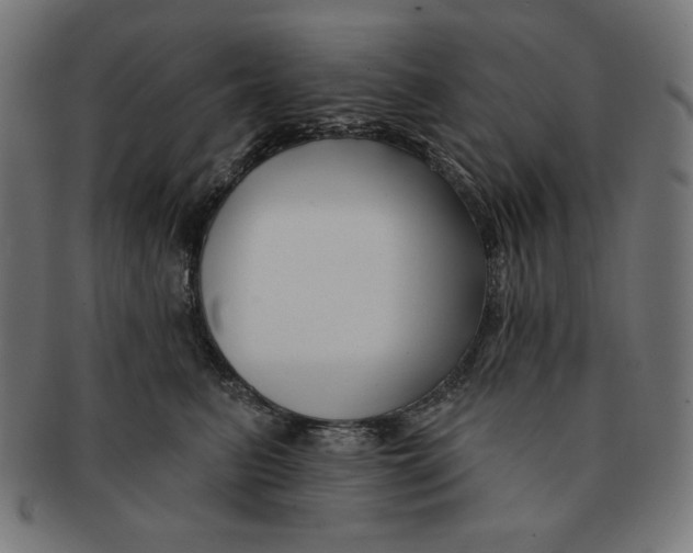 X0000091170615200709060935