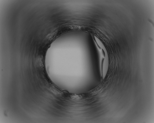 X0000091170616200709060935