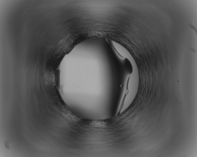 X0000091170617200709060935