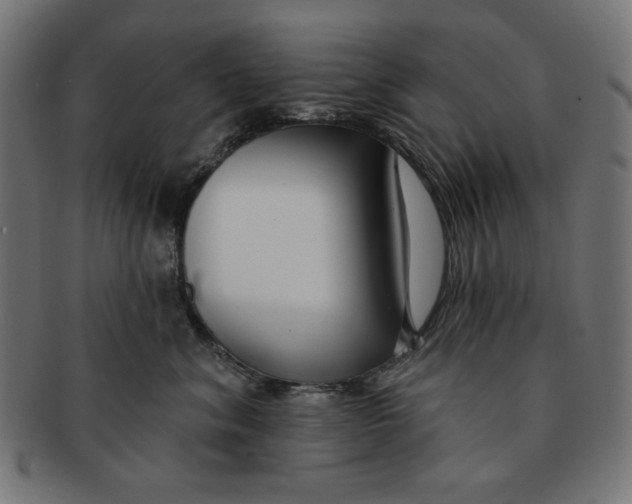 X0000091170620200709060935