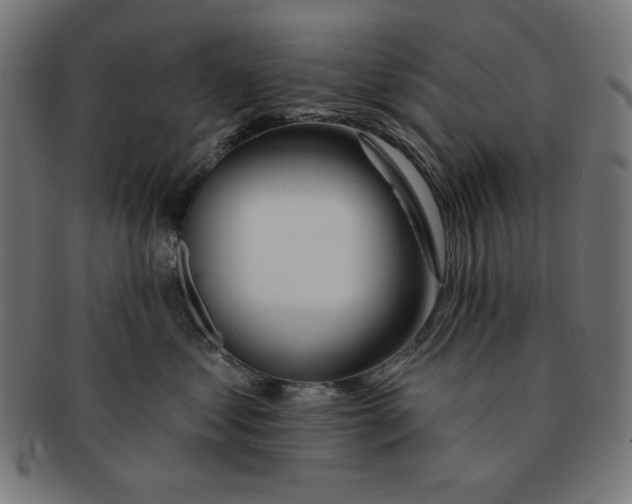 X0000091170621200709060935