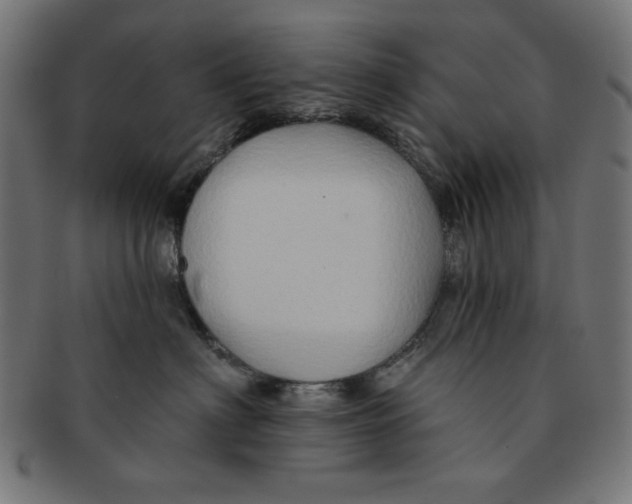 X0000091170622200709060935