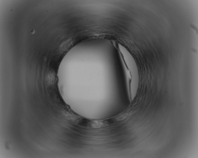 X0000091170623200709060935