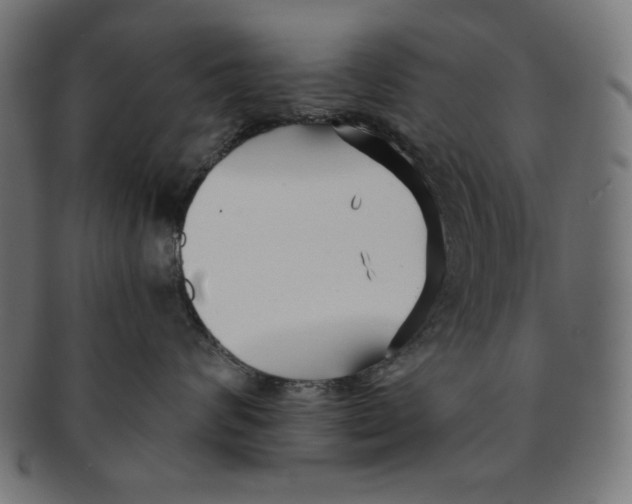 X0000091170624200709060935