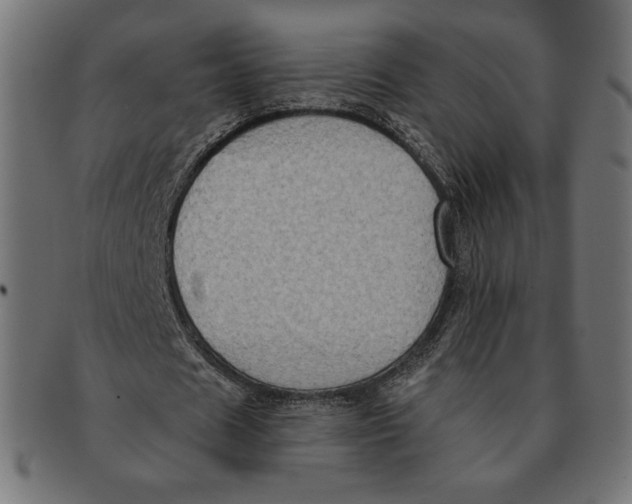 X0000091170625200709060934