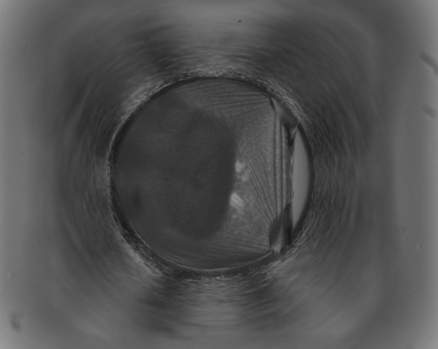 X0000091170626200709060934