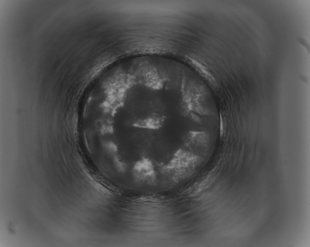 X0000091170627200709060934