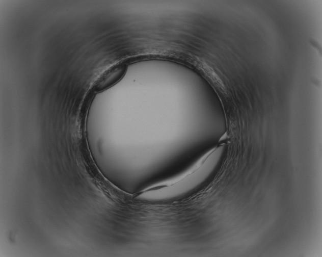 X0000091170628200709060934