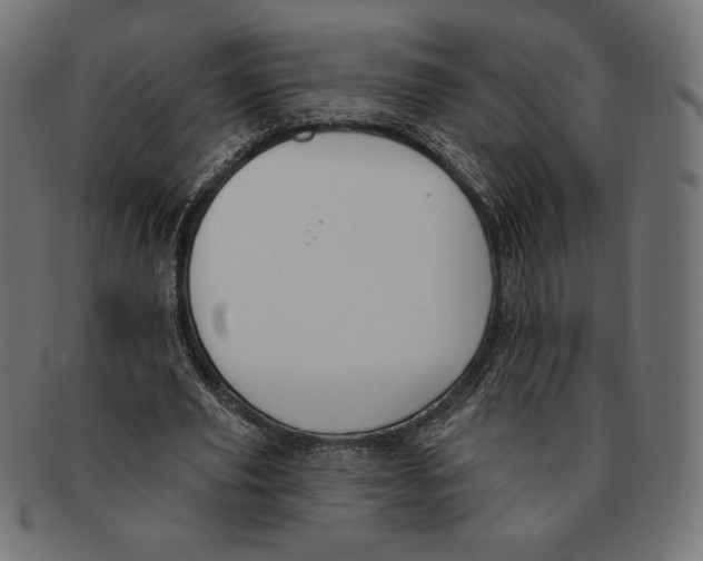 X0000091170629200709060934