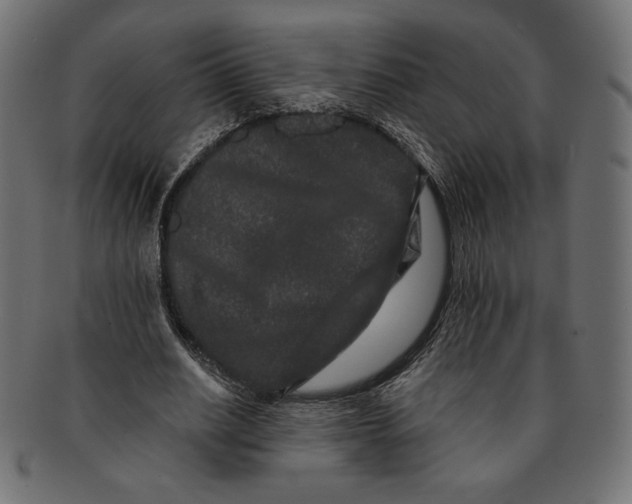 X0000091170630200709060934