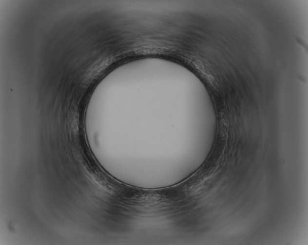 X0000091170631200709060934