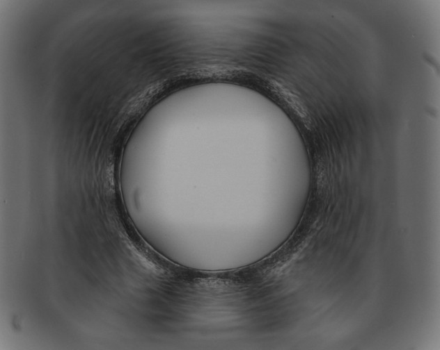 X0000091170633200709060934