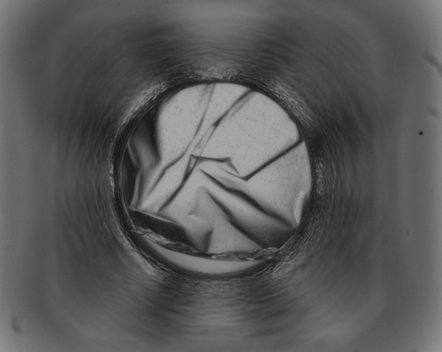 X0000091170634200709060934