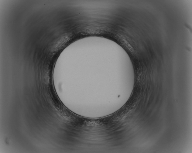 X0000091170635200709060934