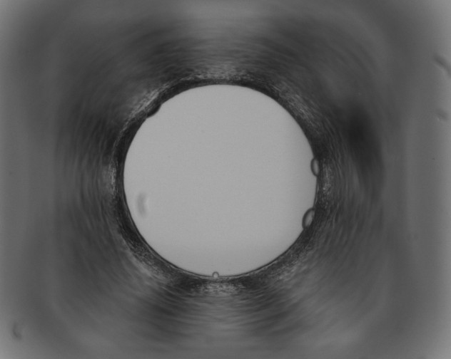 X0000091170636200709060934