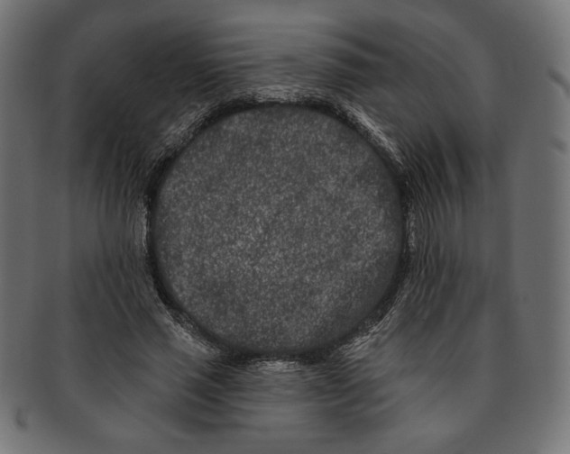 X0000091170637200709060934