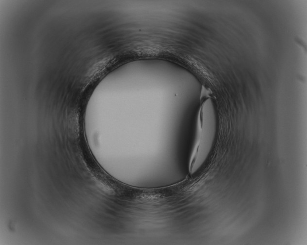 X0000091170638200709060934