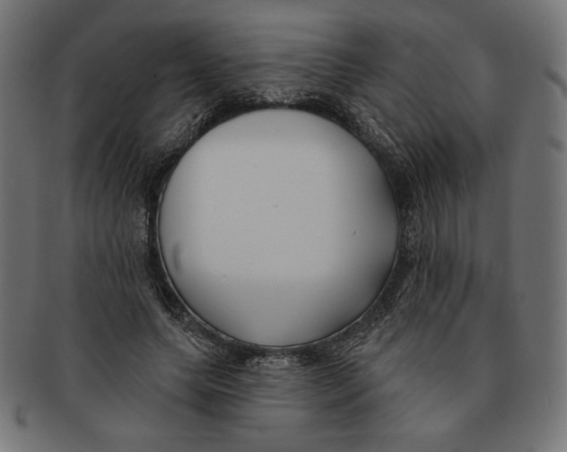 X0000091170639200709060934