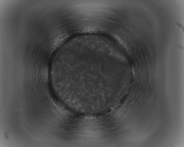 X0000091170640200709060935