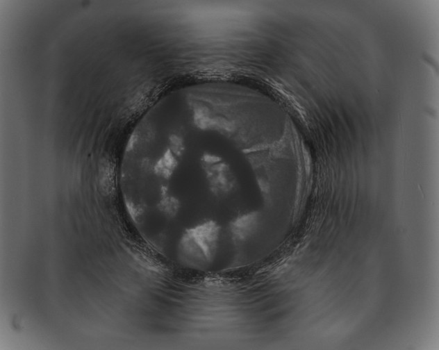 X0000091170641200709060935