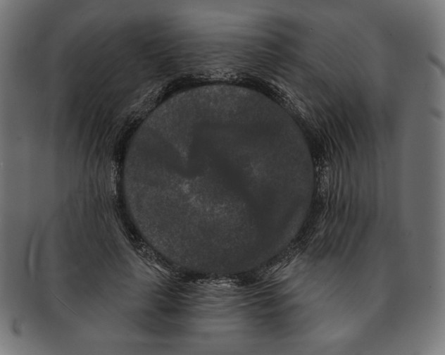 X0000091170643200709060935