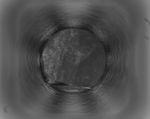 X0000091170644200709060935