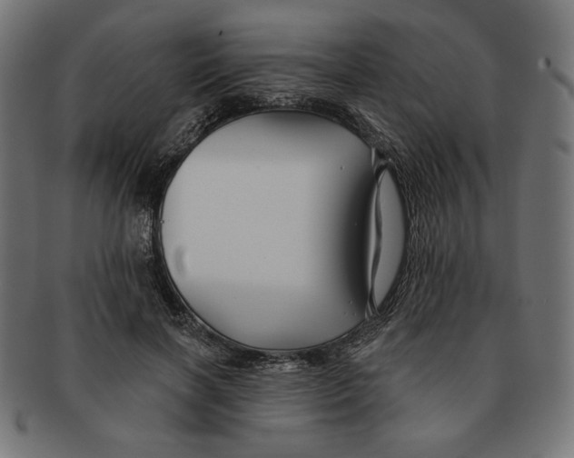X0000091170646200709060935