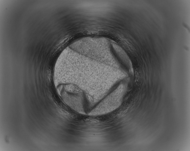 X0000091170648200709060935