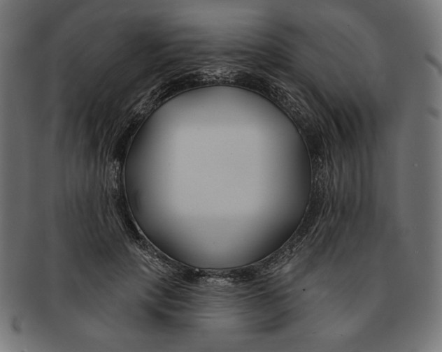 X0000091170649200709060935