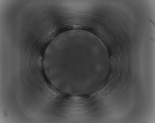 X0000091170650200709060935
