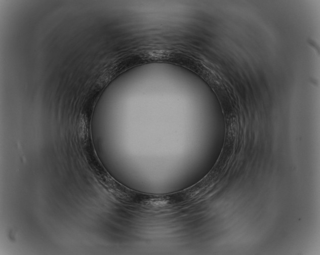 X0000091170651200709060935