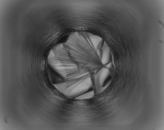 X0000091170652200709060935
