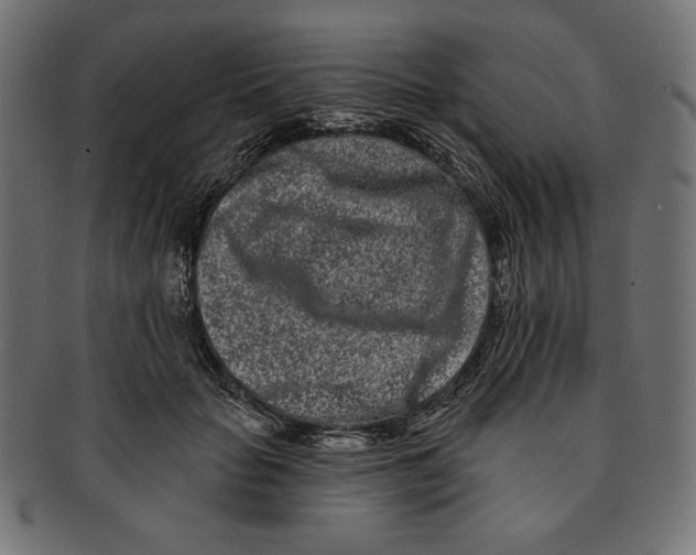 X0000091170653200709060935