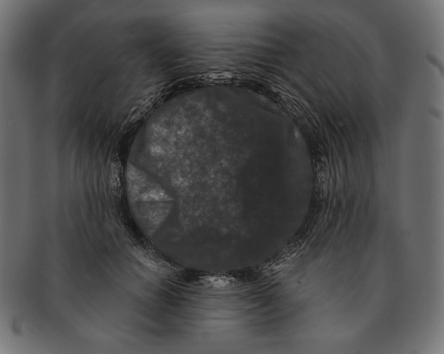 X0000091170654200709060935