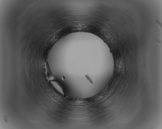 X0000091170657200709060935
