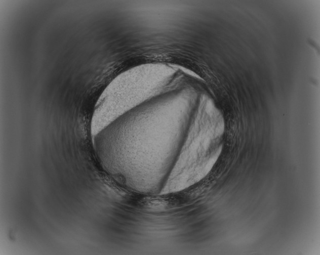 X0000091170658200709060935
