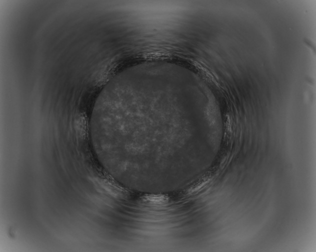 X0000091170659200709060935
