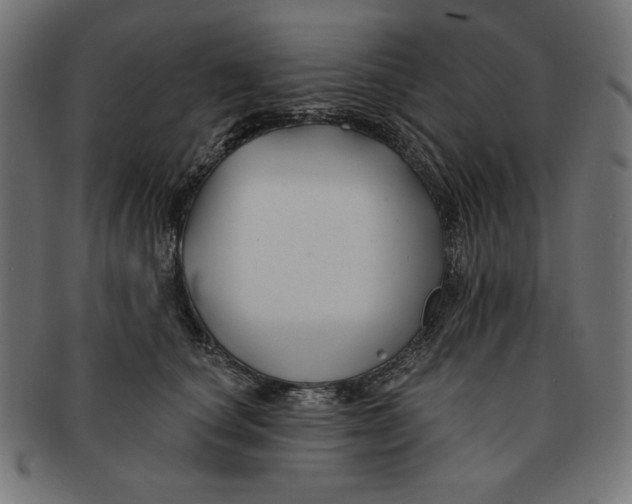 X0000091170660200709060935