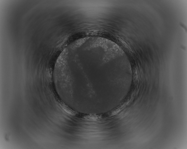 X0000091170661200709060935