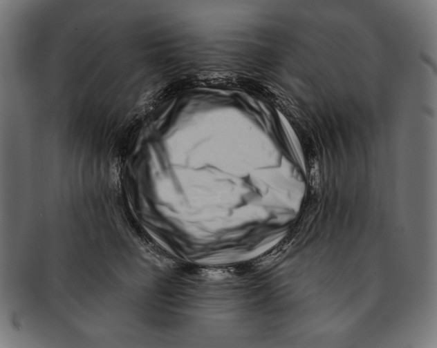 X0000091170662200709060935