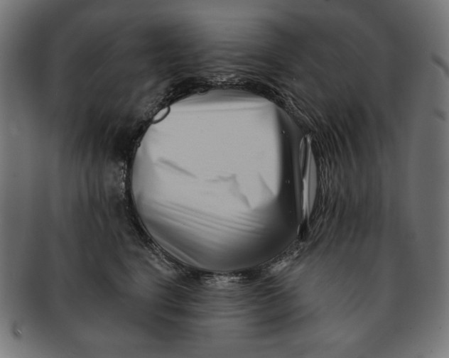 X0000091170664200709060935