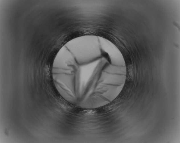 X0000091170667200709060935