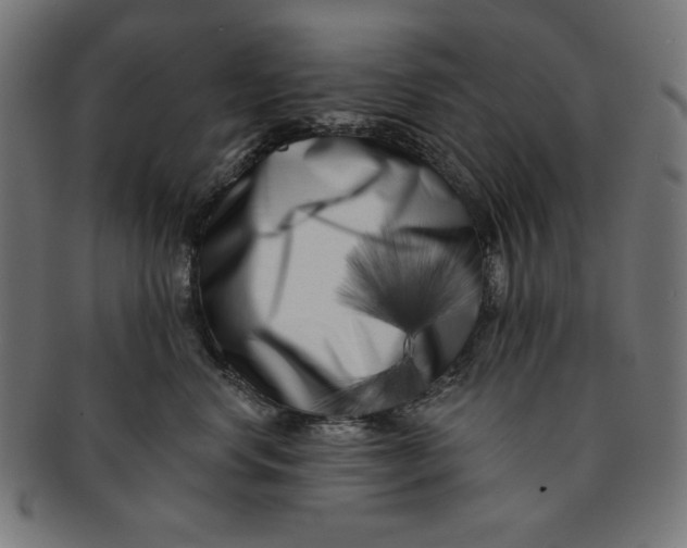 X0000091170668200709060935