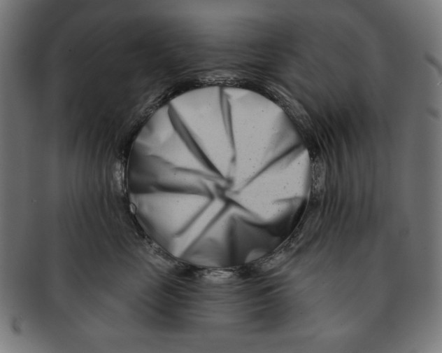 X0000091170669200709060935
