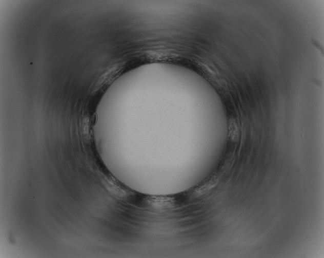X0000091170670200709060935