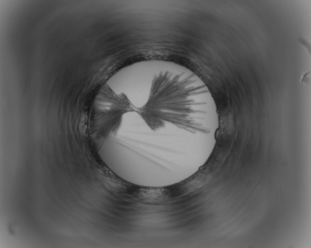 X0000091170671200709060935