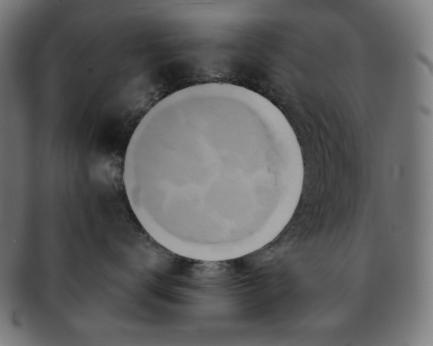 X0000091170672200709060935